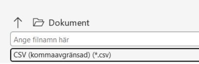 Bild på hur det ser ut i Excel när du ska spara filen som en CSV-fil.