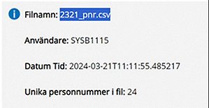 Grå ruta som visar filnamn, avsändare, datum tid samt antal personummer i fil
